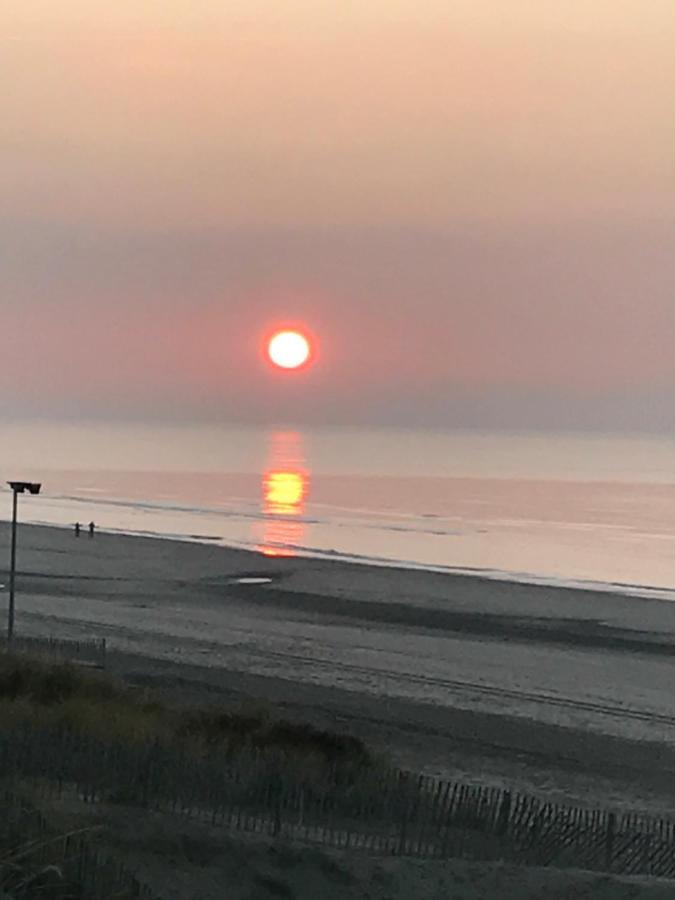 Schelvis Apartments Zandvoort Eksteriør bilde